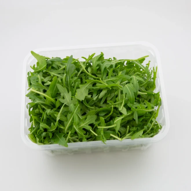 Rucola Schalen 1 Schale
